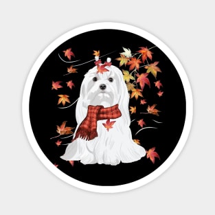 Maple Dog Leaf Fall Hello Autumn Funny Maltese Lover Magnet